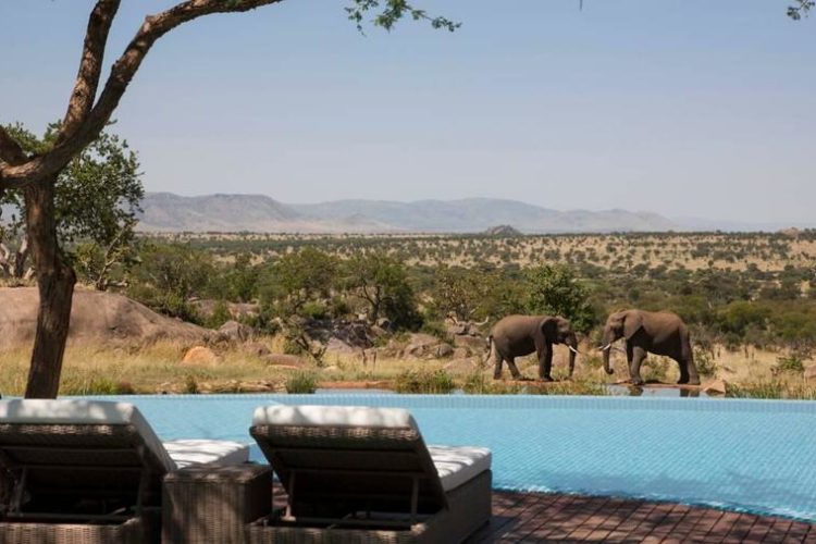 Pool des Four Seasons Safari Lodge Serengeti, Tansania