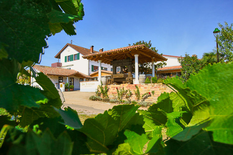 Das Weingut Dr. Steiner von außen