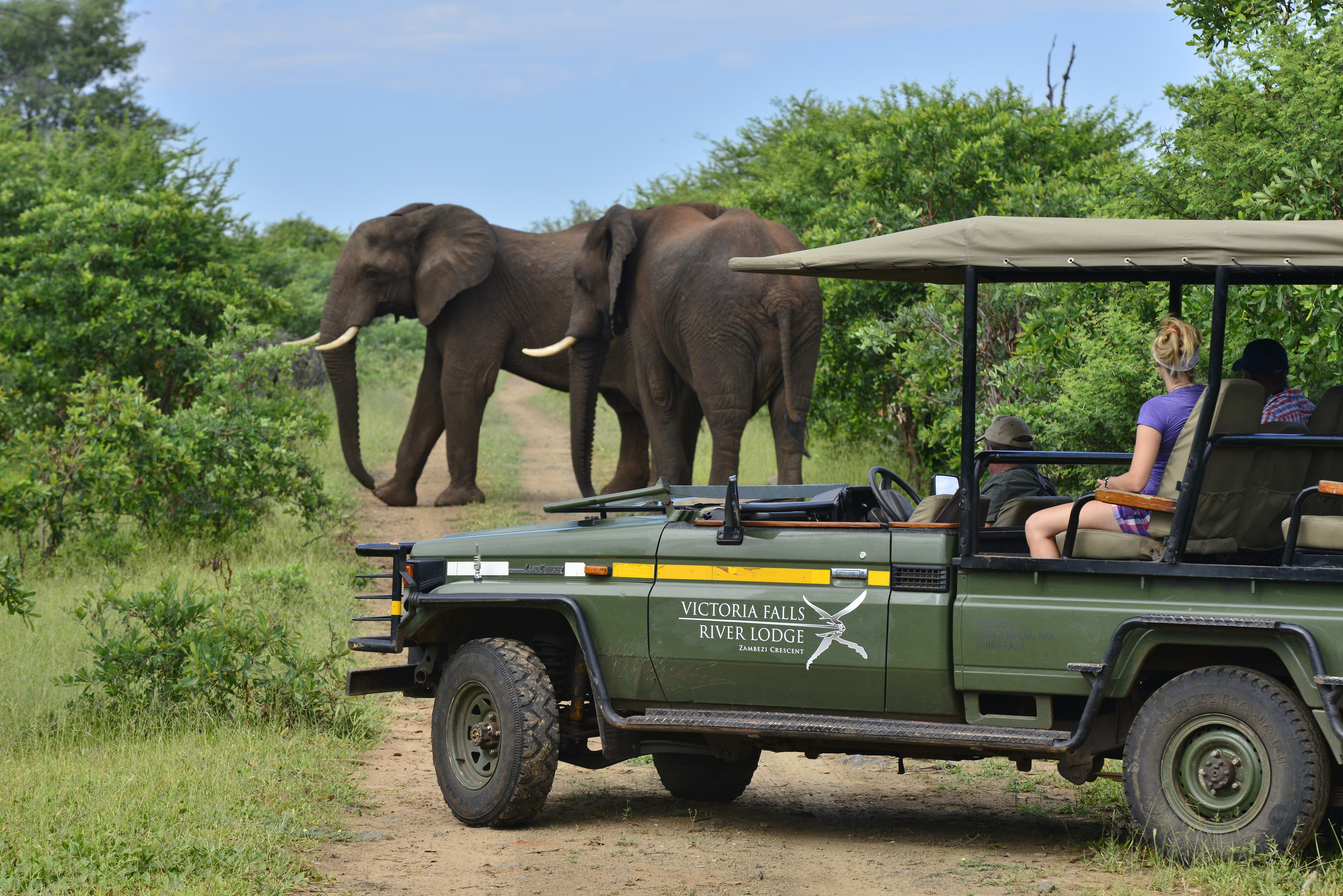 Travel Grand! Life is Grand! Safari der Victoria Falls River Lodge