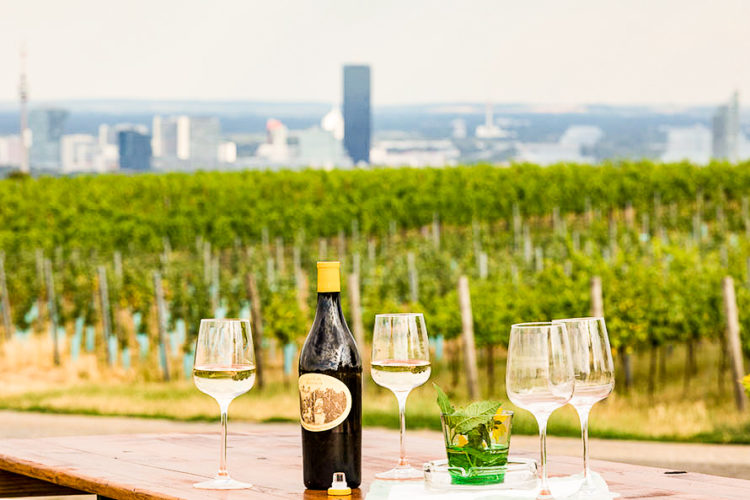 Foto: Fritz Wieninger serviert seine ausgezeichneten Weine und kalte Speisen © Weingut Wieninger